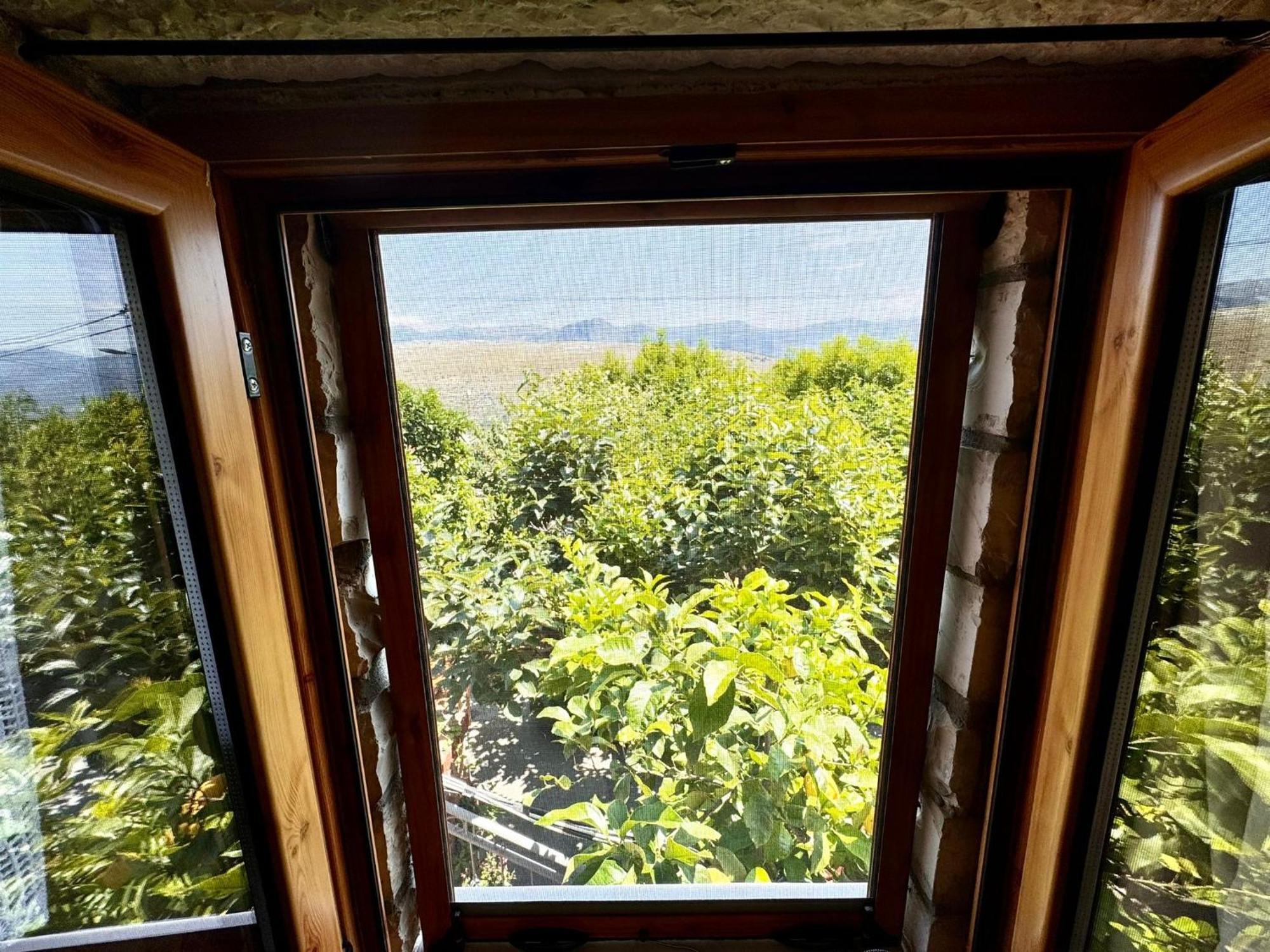 Villa Muzhaqi Nivice Экстерьер фото